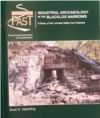 (image for) Industrial Archeology in the Blacklog Narrows: A...