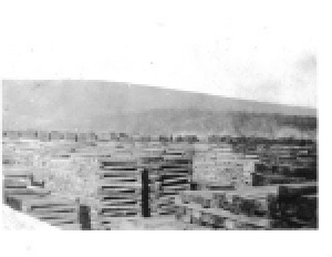 (image for) Pennsylvania Railroad Tie Plant, Ties Stacks